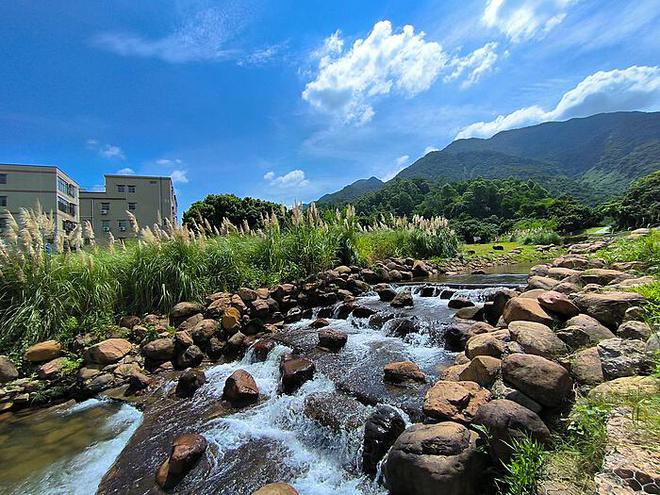 农村宅基地闲置：探索现状、原因与解决之道